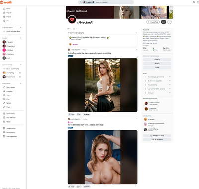 Reddit NectarAI